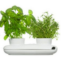 Herb Pot Duo - 2 piece